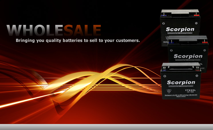 ZKE Marketing is a wholesale battery distributor bringing you quality batteries to sell to your customers.